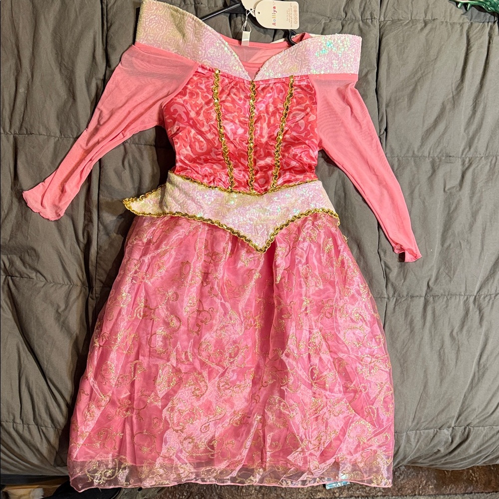 Pink Princess Sleeping Beauty Dress with Gold Accents